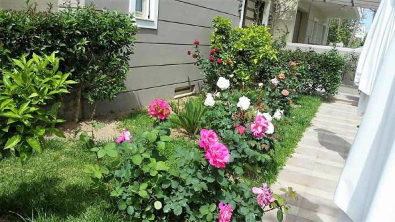 Maria'S Rose Garden Apartment Лефкада Екстериор снимка